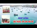 Nhịp sống bãi trước, bãi sau Mũi Né