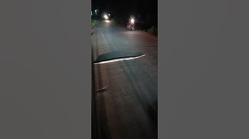Paython crossing road in India #shorts #animals #snake #python
