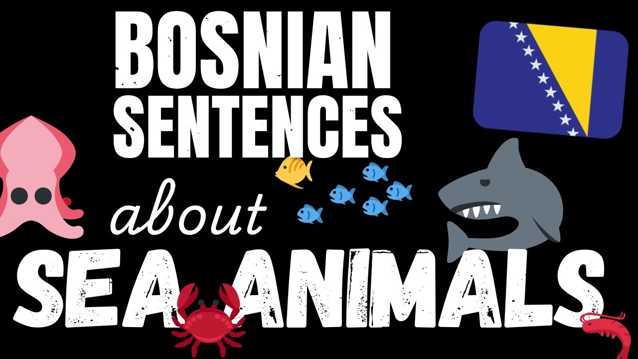 200 B1 Bosnian sentences - Marine Animals | Learn Intermediate Bosnian vocabulary