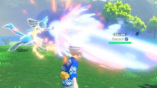 Lucario Animations Are Sweet