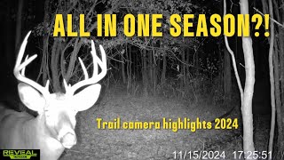 Our First Year on 64 Acres Produced THIS?! | 2024 Trail Camera Compilation