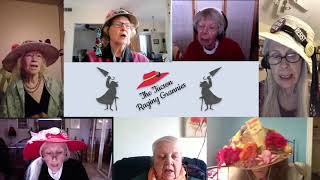 "Kyrsten Sinema Ain't Who She Used To Be," Tucson Raging Grannies