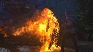 The Librarian, The Curse Of The Judas Chalice (2008)