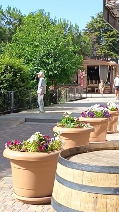 #Крым сейчас#Алушта/*Барабуля бар".22.06.2024. - YouTube