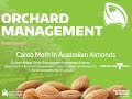 Australian Almonds - Orchard Management - Carob Moth