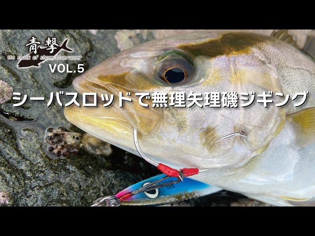 ショアジギング淡路島/シーバスロッドで無理矢理磯ジギング【青撃 VOL