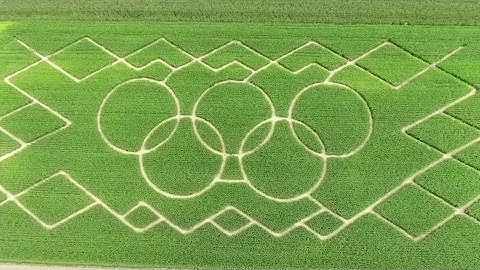 Olympics crop circle puzzle Bavarians