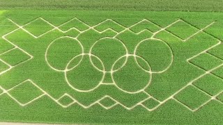Olympics crop circle puzzle Bavarians