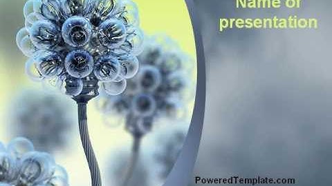 Electric Flower PowerPoint Template by PoweredTemplate.com