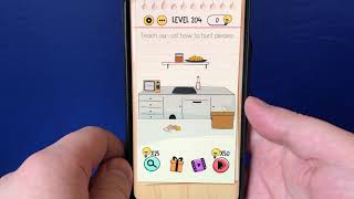 Brain Test Teach Our Cat How To Hunt Please