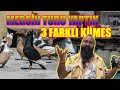 MERSİN TURU YAPTIK: 3 FARKLI KÜMES #KGyollarda