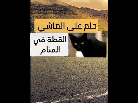 القطة في المنام حلم على الماشي للشيخ إسلام مصطفى عرفات