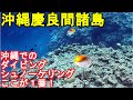 【沖縄旅行】　渡嘉敷島シュノーケリング　okinawa travel