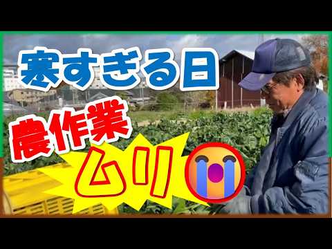 寒すぎて心折れました…農作業のリアル　冬の畑でだけ絶対やりたくない農作業