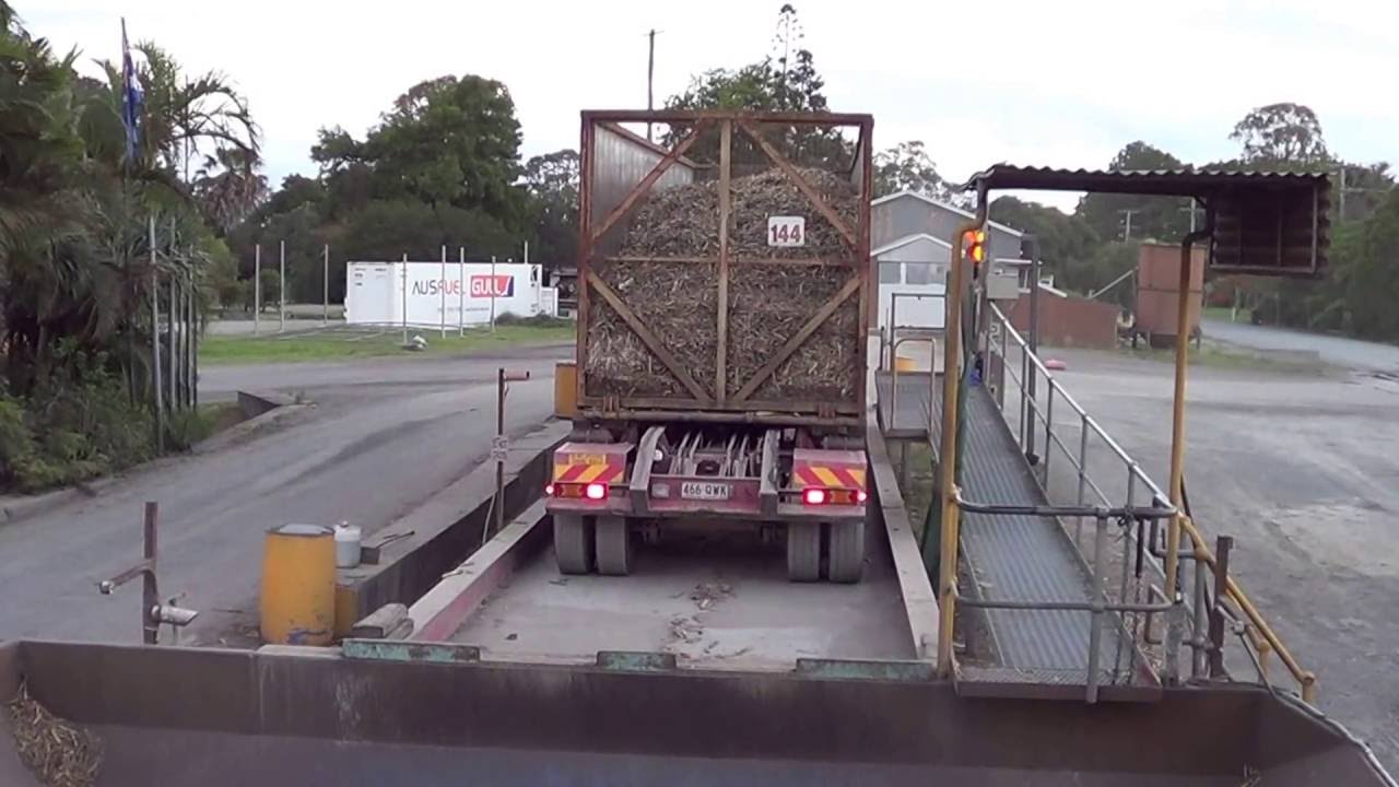 Australian Sugar Cane Harvest Truck Unloading at the Mill
