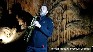 Tomaz Nedoh: Proteus Csardas - playing in a Divaca Cave ( Slovenia) cave music