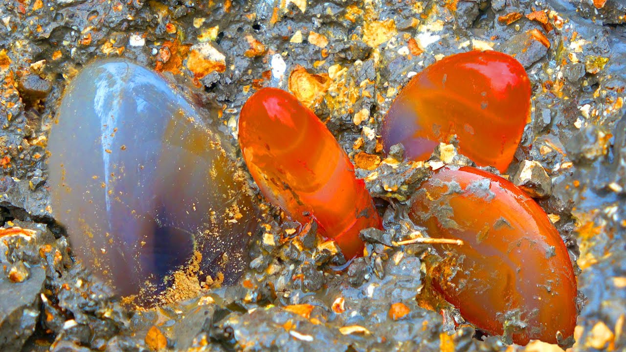 A miraculous discovery, the boy dug up a rare crystal gem