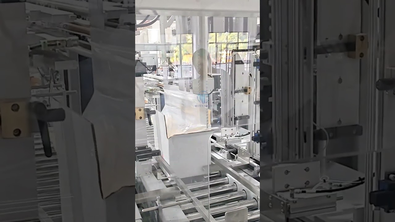 Carton Inner Bagging & Sealing Machine，for Soybean, Peanut & Corn Kernel Packaging