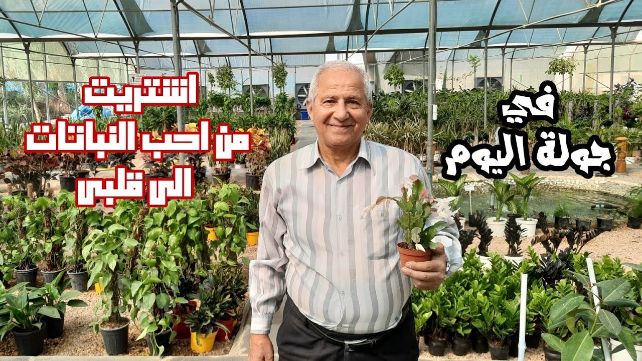 هيا بنا نستمتع بجمال الطبيعة والنباتات بالربيع ونتجول في المشاتل التي تبيع الجمال 