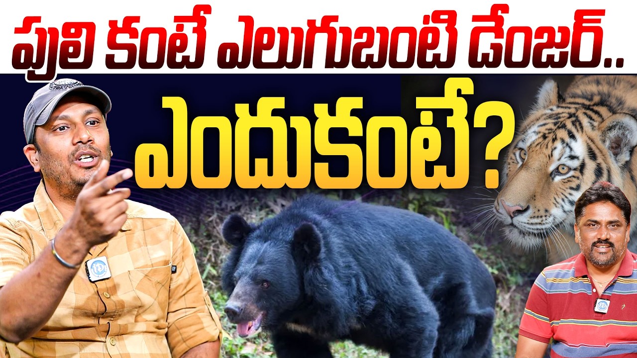 పులి కంటే ఎలుగుబంటి డేంజర్ | Vamsi Praveen traveler Exclusive Interview With Roddam Srinivas