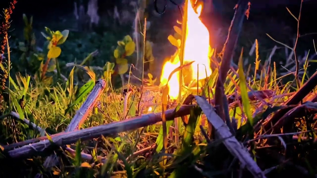 "Unlocking the Truth: Every Soul Will Face Death – Are You Prepared?"