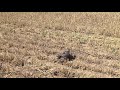 Первые напуски на летающего змея.The first laps on the flying kite.放飛風箏的第一圈