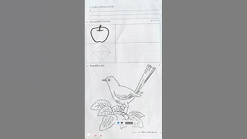 প্রথম শ্রেণি//শারীরিক ও মানসিক সমন্বয়//তৃতীয় পর্যায়ক্রমিক মূল্যায়ন//Class 1 Question 3rd Unit#shorts