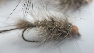 ausable ugly by adkflytying