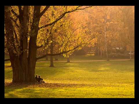 Autumn's beauty