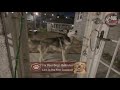 Stop Night Barking Fast Quiet Your Dog With This Brain Trick