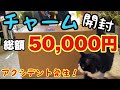 ビオトープ、アクアリウム用品、水草！総額50,000円分チャームで購入！ブセガチャ！クリプトガチャ