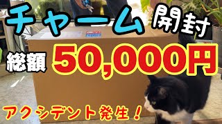 ビオトープ、アクアリウム用品、水草！総額50,000円分チャームで購入！ブセガチャ！クリプトガチャ