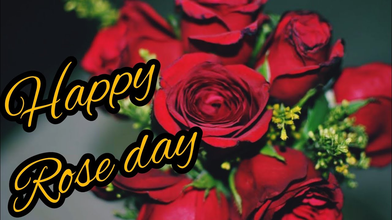 Happy rose day 🌹🌹Rose day best quotes 🌹