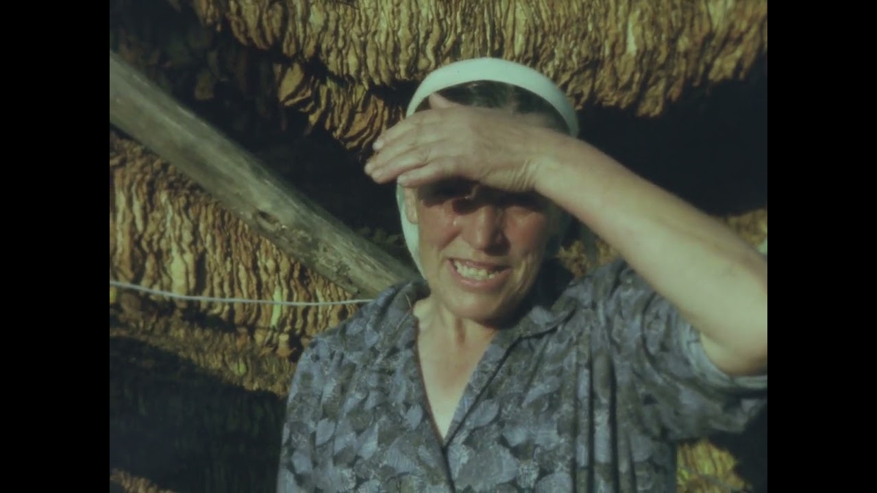 Етничкиот континуитет на македонците муслимани во централна и источна Македонија