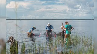 FSU Panama City awarded grants for bay water and shoreline projects
