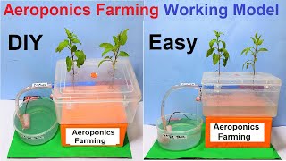 aeroponics farming working model  agriculture types science project for exhibition | DIY pandit