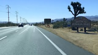 California Joshua Tree Town