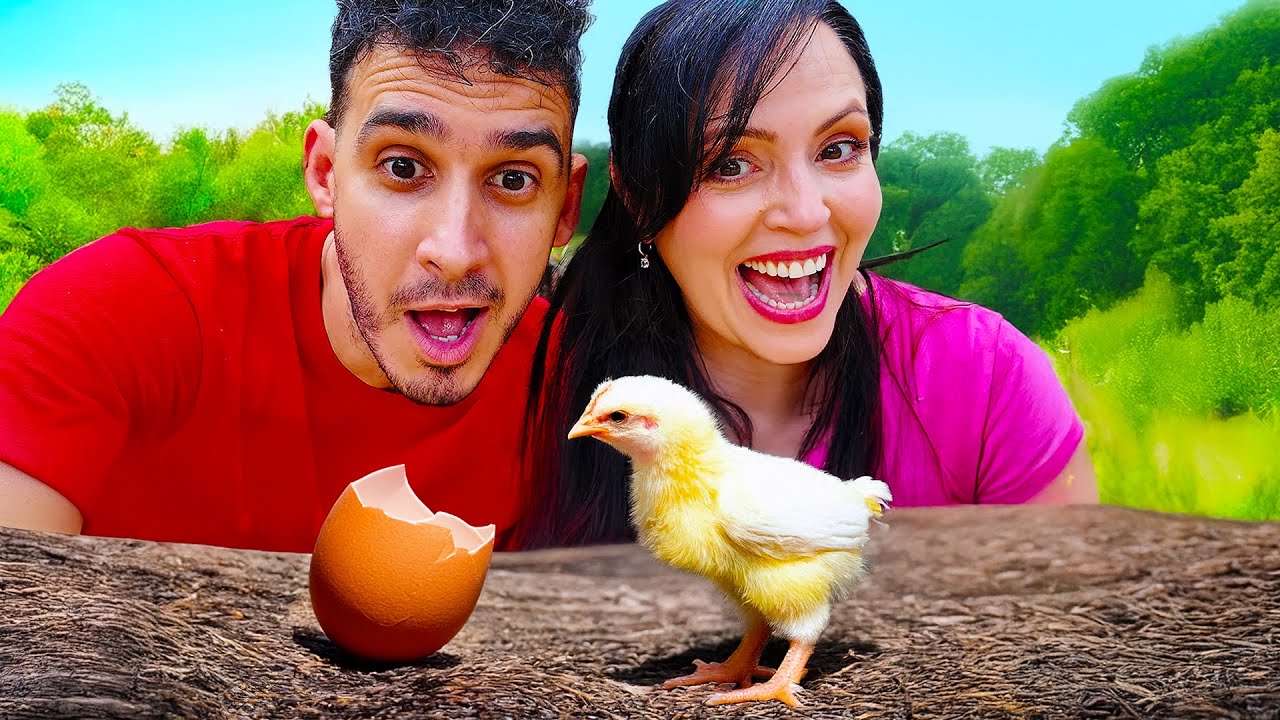 NACIÓ NUESTRO PRIMER POLLITO! 🐣❤️ Hijo de Nuestras Gallinas en La Finquita Bonita