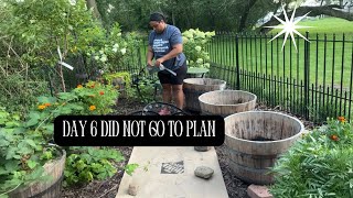 DAY 6 RECLAIMING MY GARDEN || TODAY DID NOT GO TO PLAN