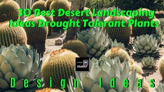 30 Best Desert Landscaping Ideas - Drought Tolerant Plants
