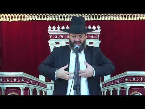 להודות ולבקש הלאה | הרב מיכאל מזוז