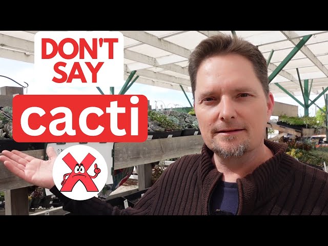 English Vocabulary / REAL-LIFE ENGLISH / CACTUS /CACTI - YouTube