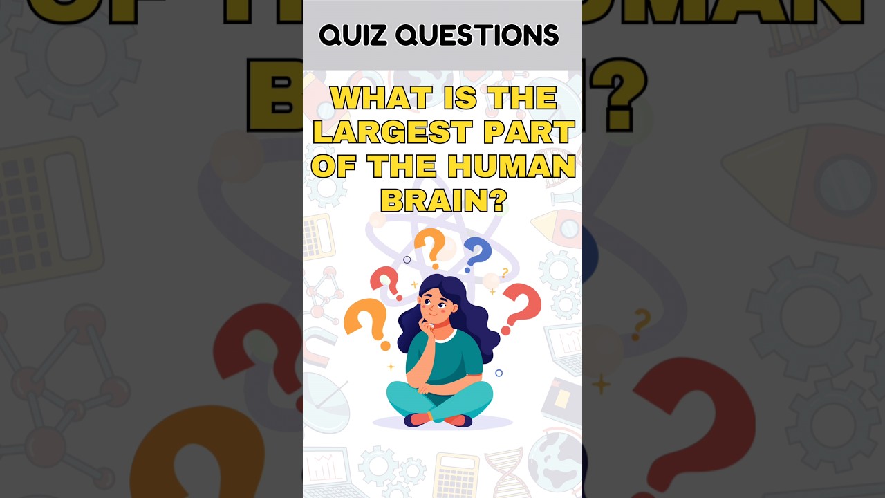 The largest part of the human brain|| quiz questions❓