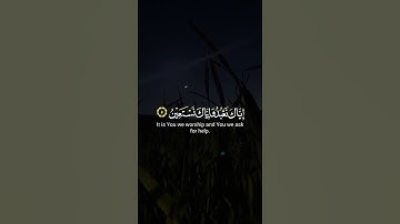 هيثم الدخين، سورة الفاتحة 🍃🤍