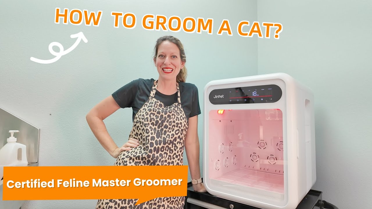 How to Groom a Cat with Certified Feline Master Groomer Beth with F1 Pet Dryer Cabin