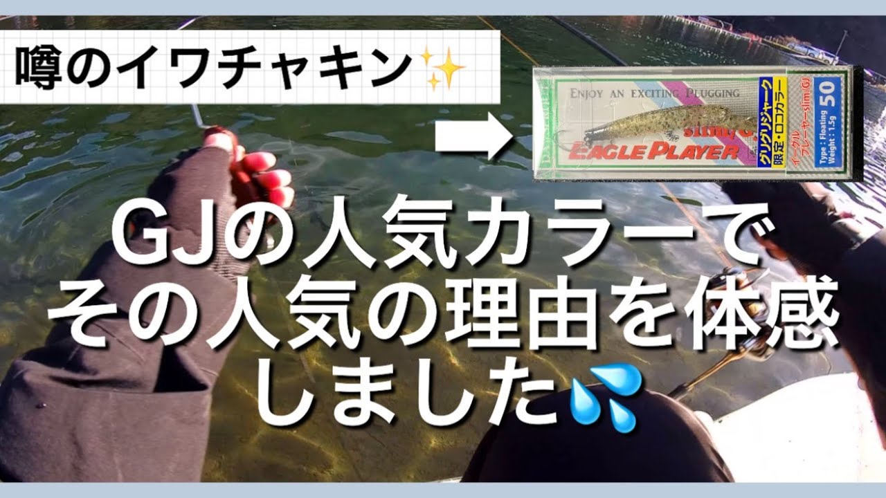 噂のイワチャキン✨GJの人気カラーでその人気の理由を体感しました💦【エリアトラウト】
