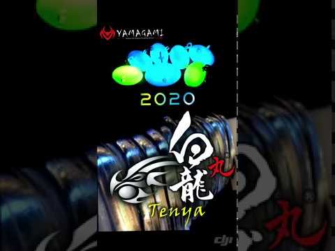 我又開燈了 我又關燈了 白龍丸登場 Youtube 我又開燈了 我又關燈了 白龍丸登場 Youtube