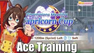 Capricorn Ace Training [Umamusume Pretty Derby]
