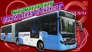 5 menit! Asal bus Transjakarta serta Berbagai logo bus di Indonesia