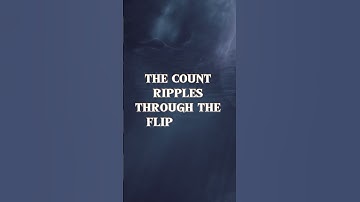 What is Ripple Counter | SamiGuide